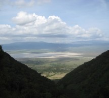 A Safari in the Serengeti and Ngorongoro Crater- Part 2