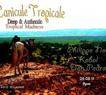 Canicule Tropicale: A combination of Vintage Music & Fun Atmosphere