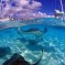 Top best Snorkelling Destinations in the World