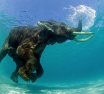 Top 10 adventure activities to do in India