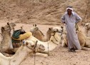 What to do if you’re sitting on the back of a camel and you need to pee.