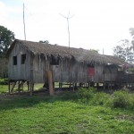 Village in the Amazon