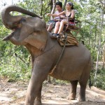 On an elephant- Thailand