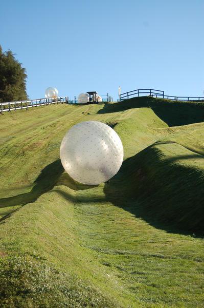 zorbing